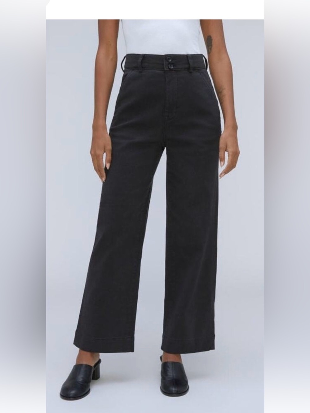 Everlane The Organic Wide-Leg Pant in Black 4 NWT